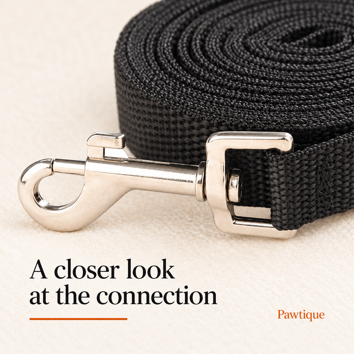 Close-up of the metal snap clip and black flat webbing