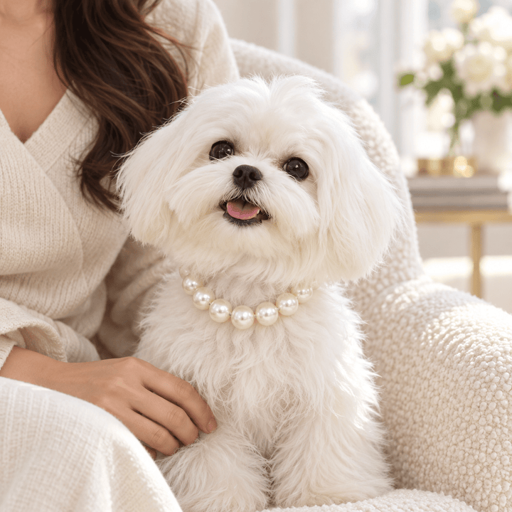 Pawtique LumiPearl™ Beaded Pet Necklace - Pawtique