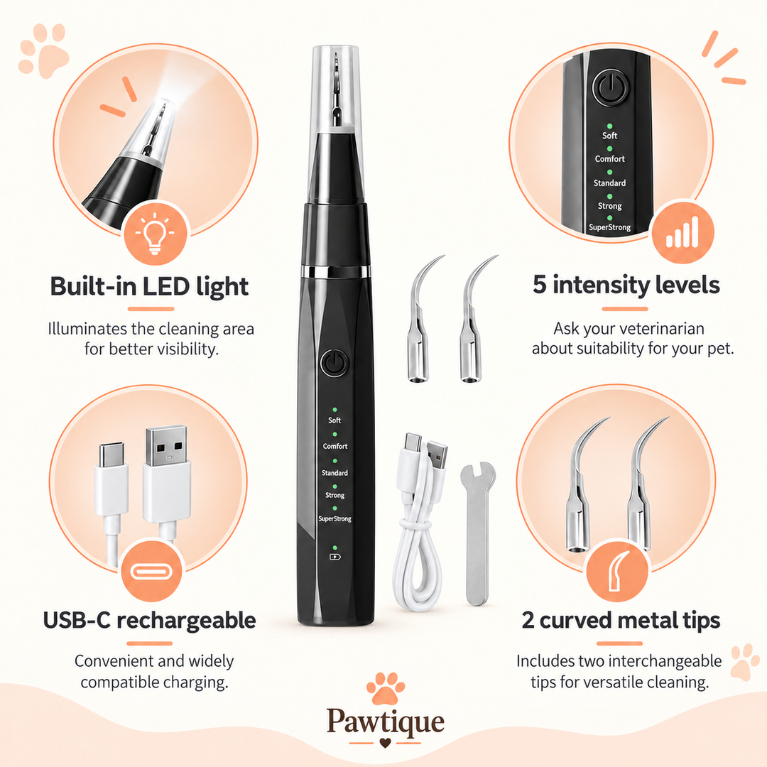 LumiSmile LED, five settings and USB-C details with veterinarian suitability guidance