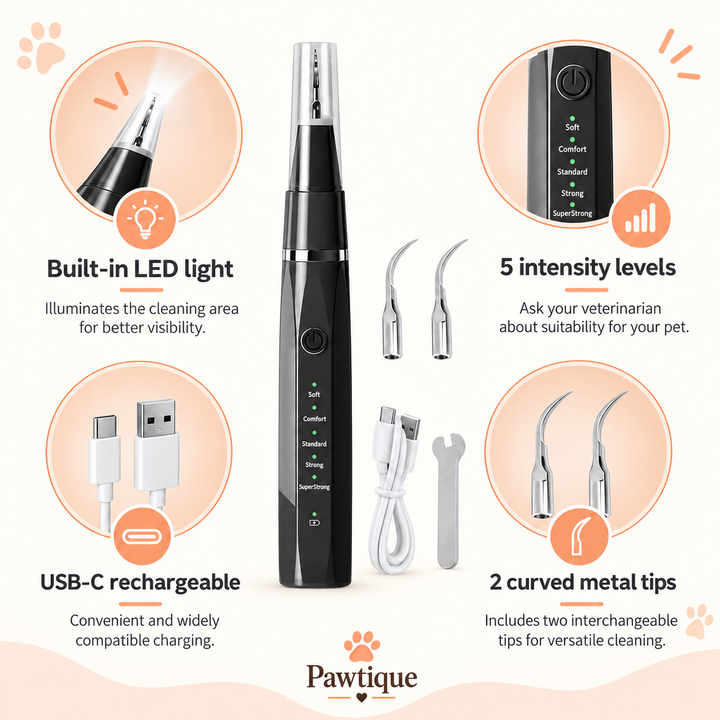 LumiSmile LED, five settings and USB-C details with veterinarian suitability guidance