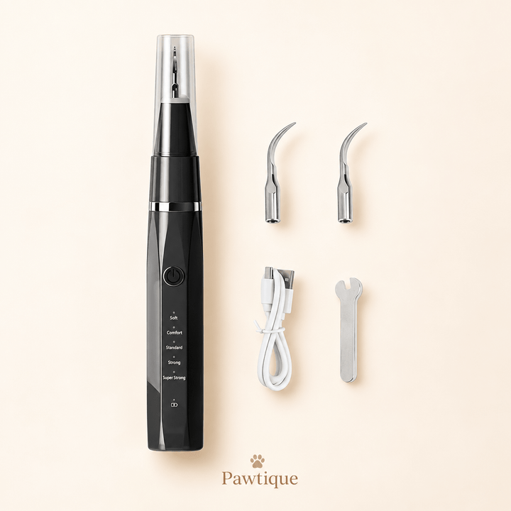 Pawtique LumiSmile™ LED Pet Dental Cleaning Tool - Pawtique