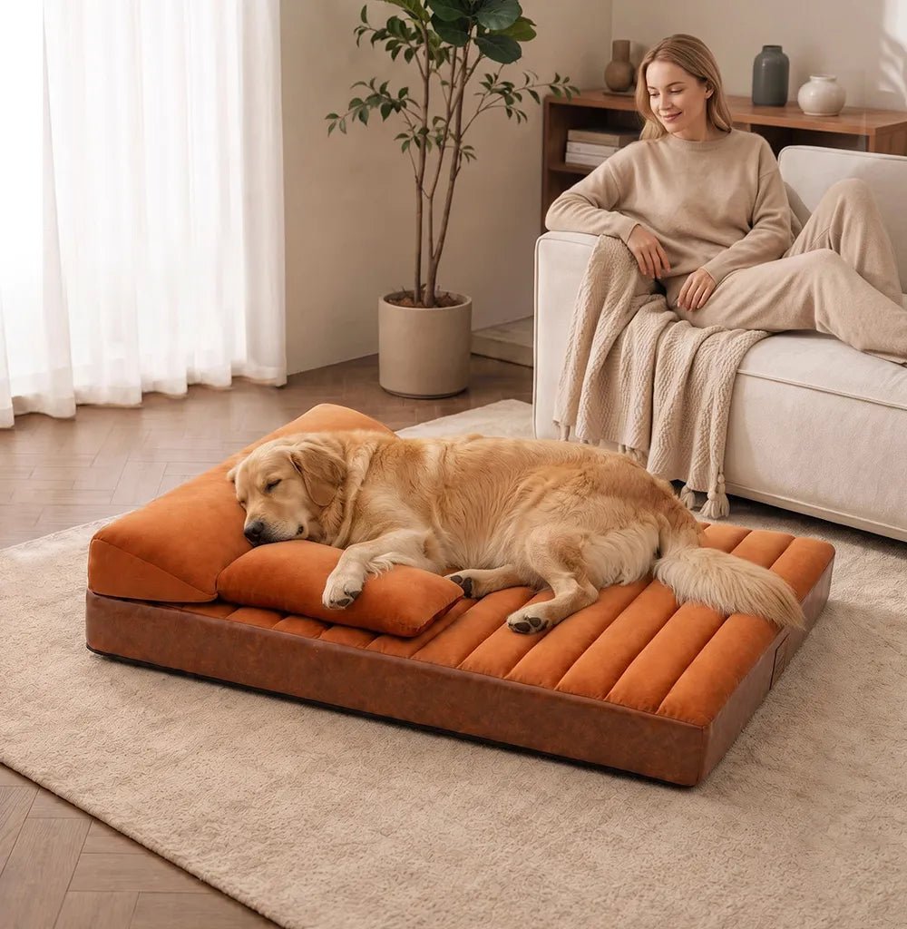 Pawtique LuxeNest™ Orthopedic Bolster Dog Sofa Bed - Pawtique