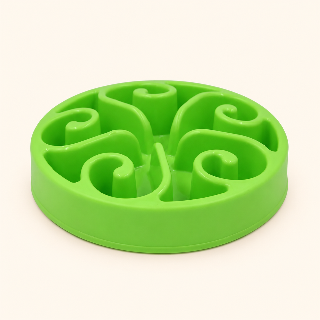 Green slow-feeder dog bowl with raised spiral channels