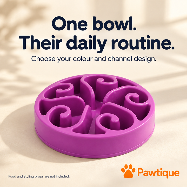 One Purple spiral slow-feeder bowl; choose a single color and channel design