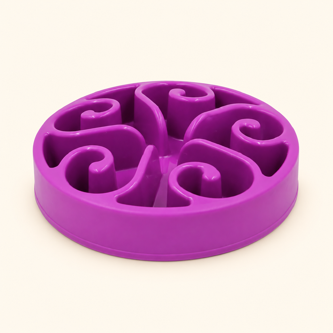 Purple slow-feeder dog bowl with raised spiral channels