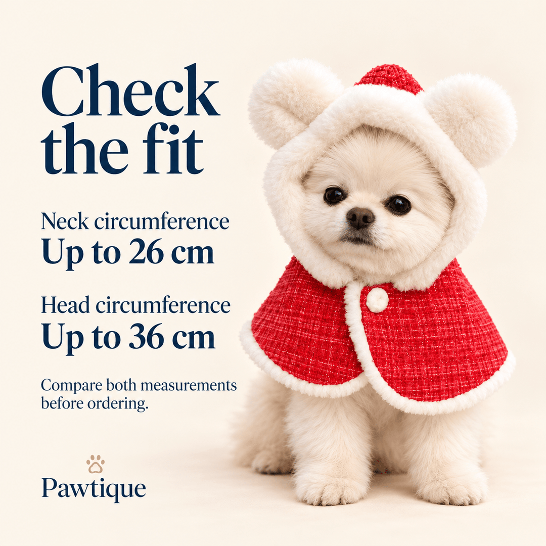 Pawtique MerryBear Christmas Hooded Dog Cape - Pawtique