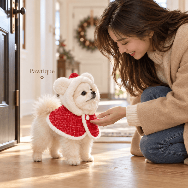 Pawtique MerryBear Christmas Hooded Dog Cape - Pawtique