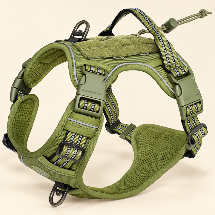 Green adjustable MOLLE dog harness on cream background