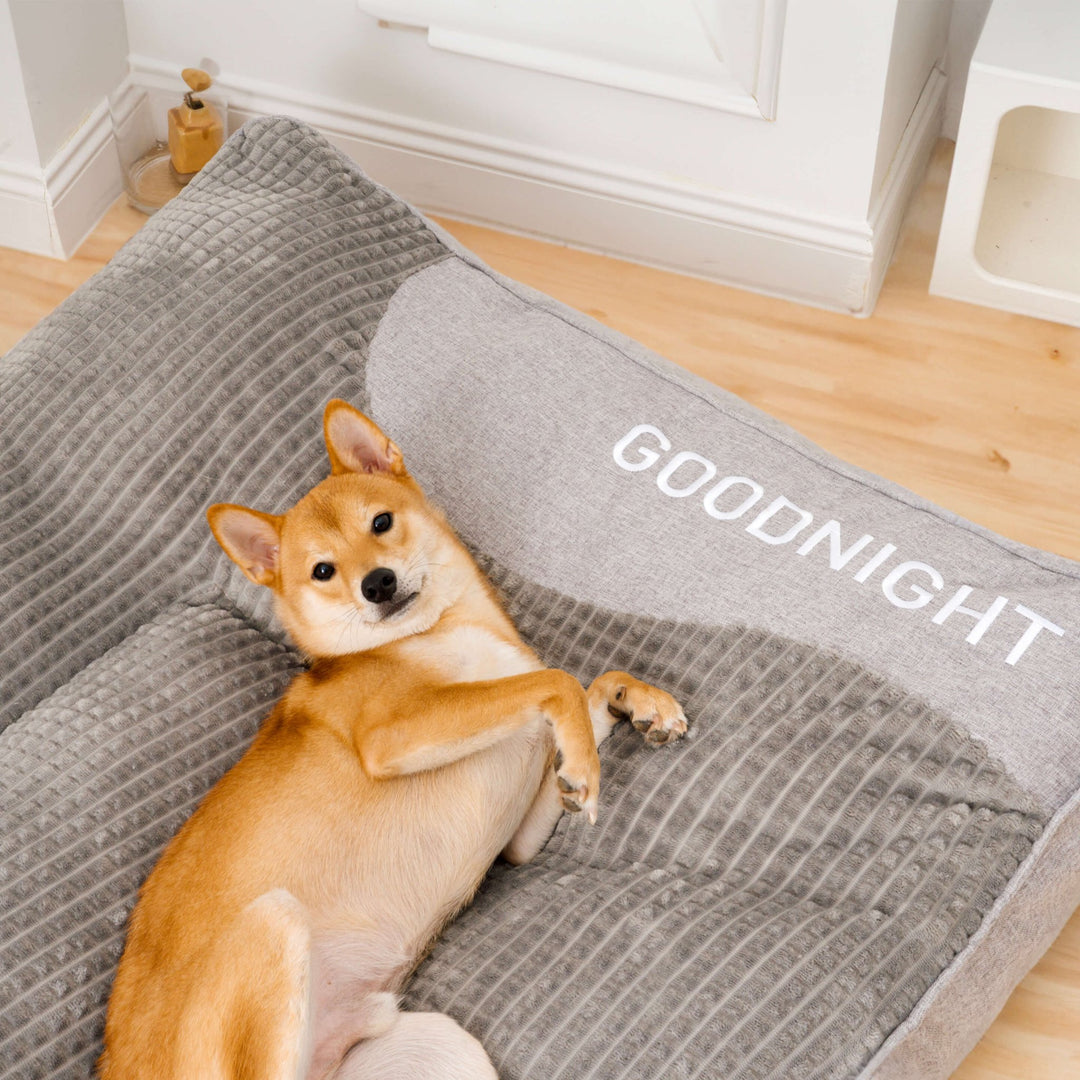 Pawtique NameNest™ Personalized Cushion Dog Bed - Pawtique