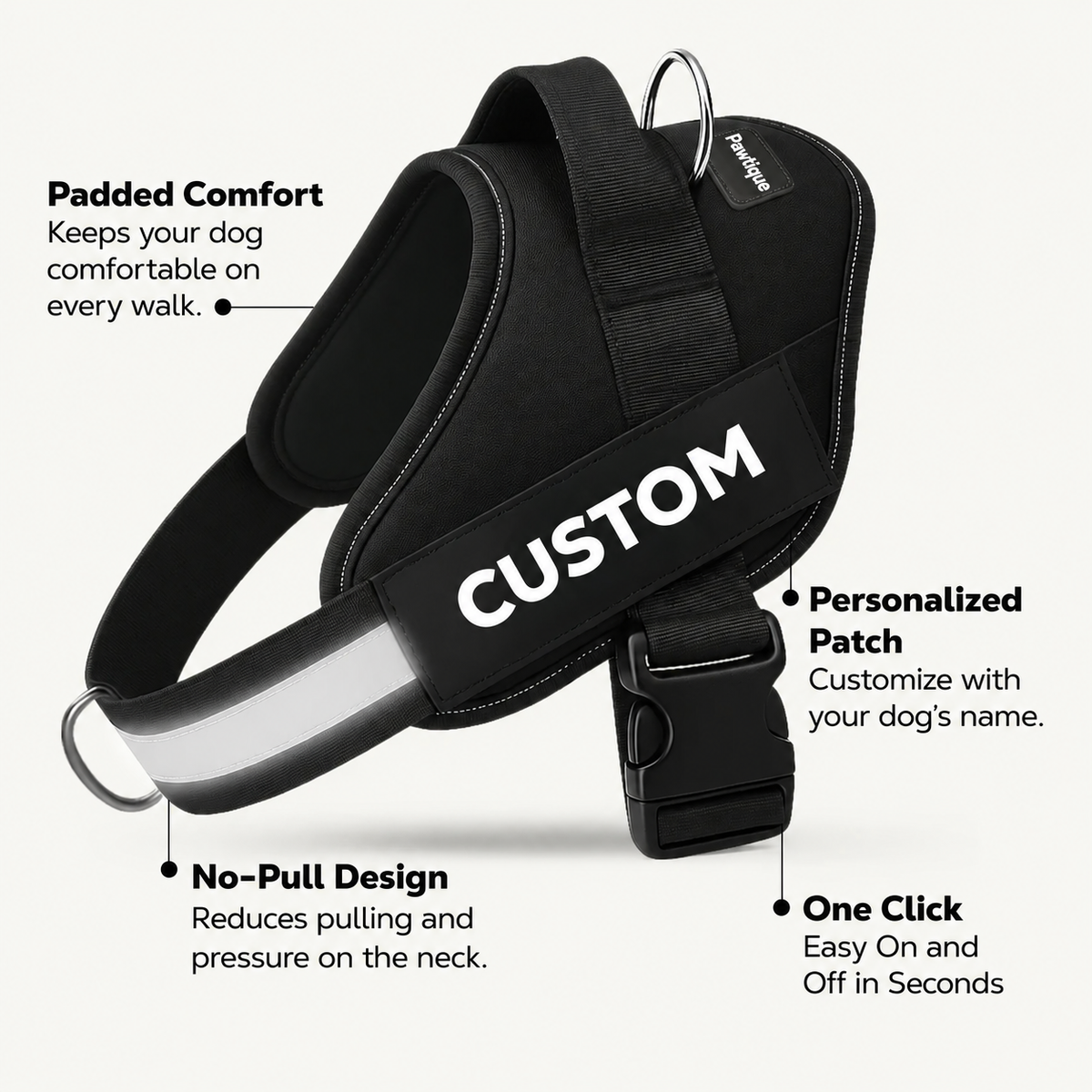 Pawtique NameTrail harness showing its padded construction and handle
