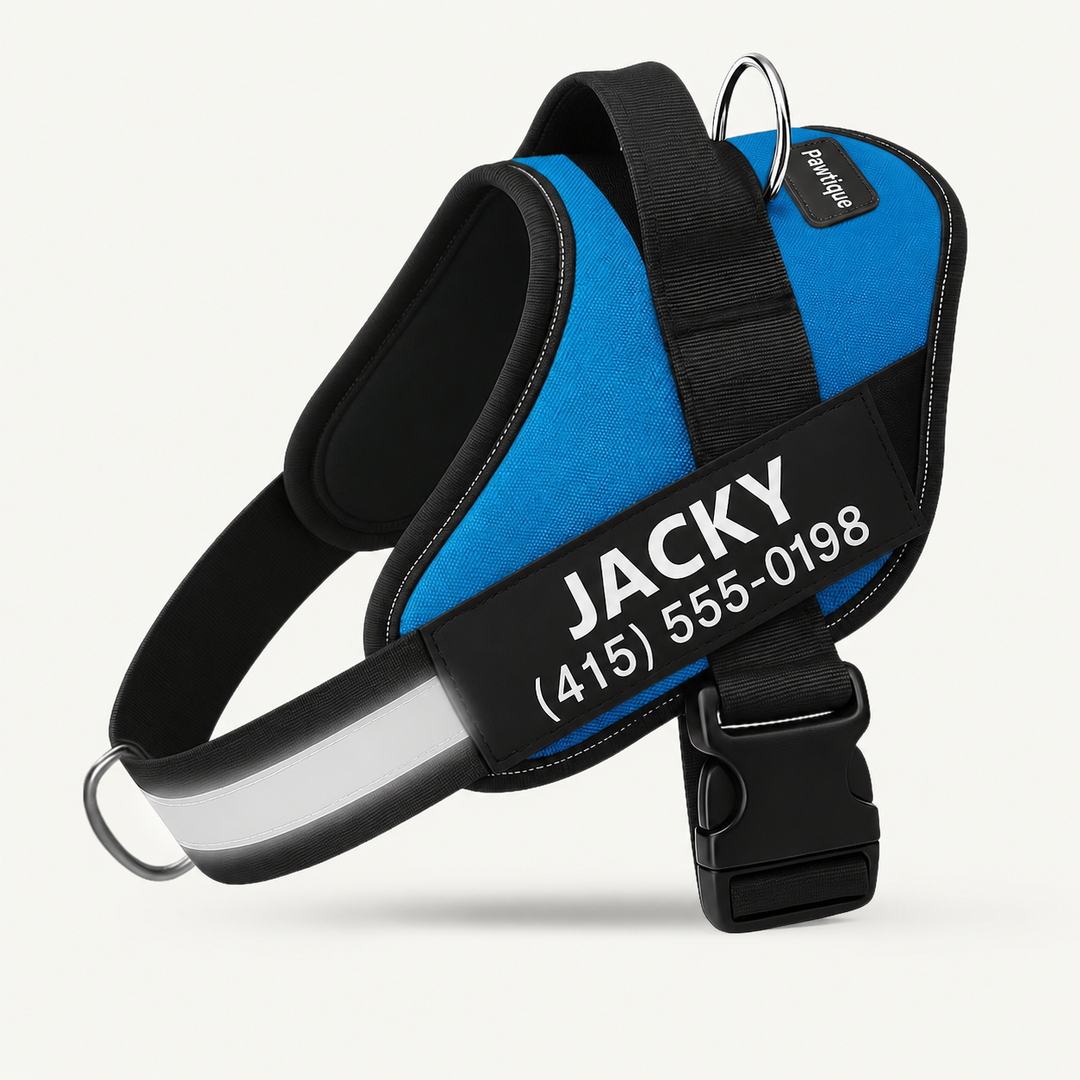 Pawtique NameTrail personalized no-pull harness in Blue