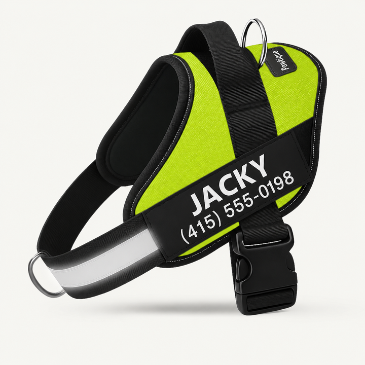Pawtique NameTrail personalized no-pull harness in Green