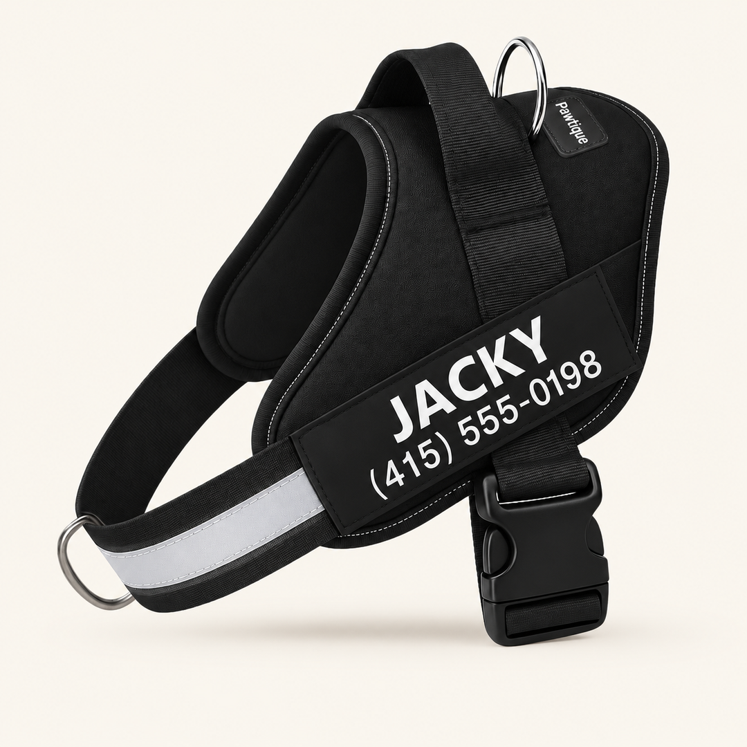 Pawtique NameTrail personalized dog harness in black, with sample name and phone patch, on a warm cream background