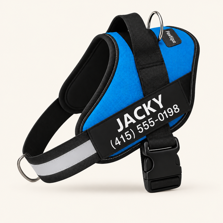 Pawtique NameTrail personalized dog harness in blue, with sample name and phone patch, on a warm cream background