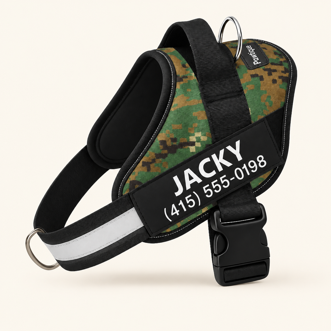 Pawtique NameTrail personalized dog harness in camouflage green, with sample name and phone patch, on a warm cream background