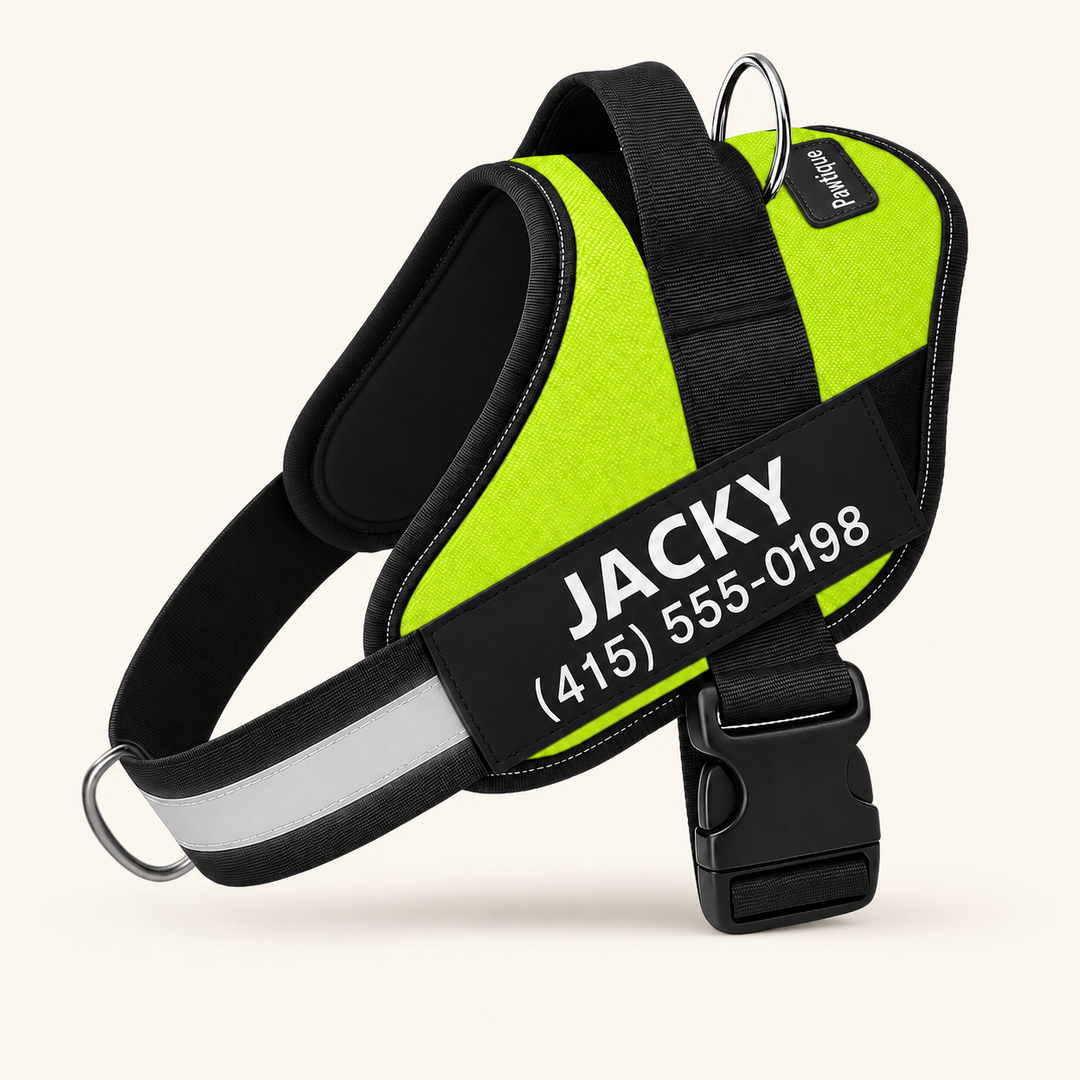 Pawtique NameTrail personalized dog harness in green, with sample name and phone patch, on a warm cream background
