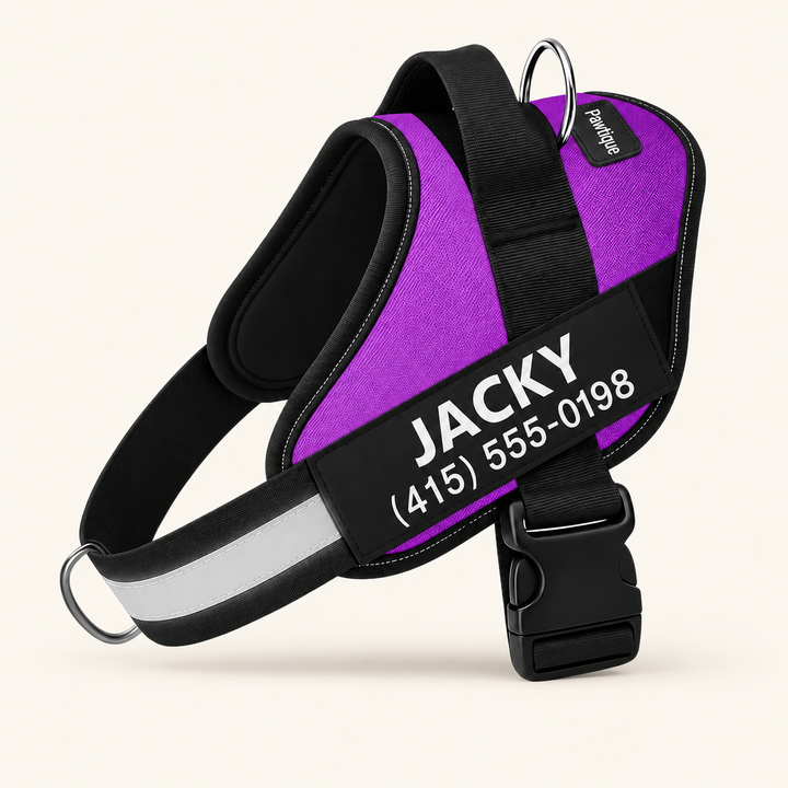Pawtique NameTrail personalized dog harness in purple, with sample name and phone patch, on a warm cream background