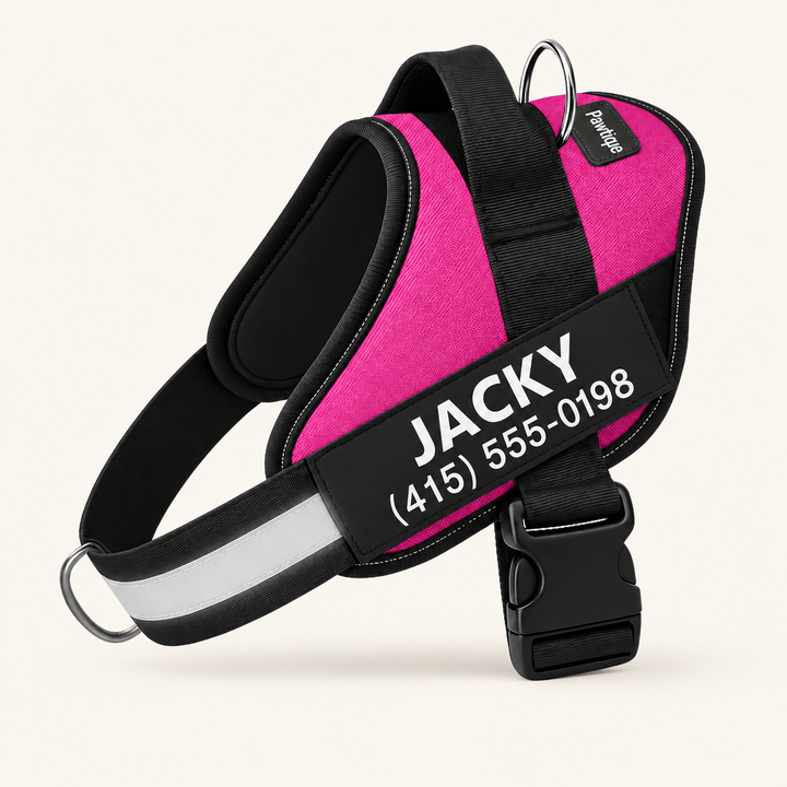 Pawtique NameTrail personalized dog harness in rose red, with sample name and phone patch, on a warm cream background