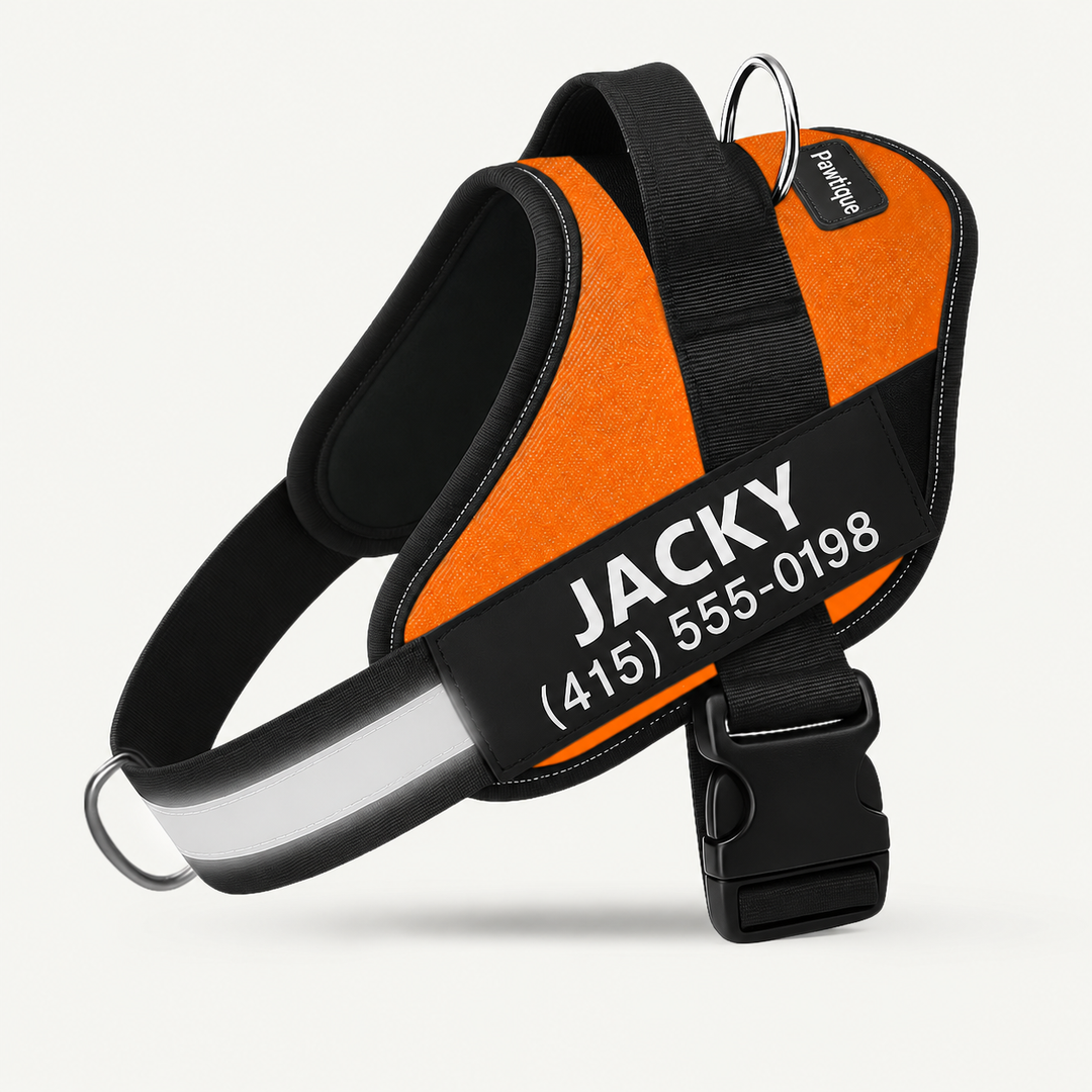 Pawtique NameTrail personalized no-pull harness in Orange