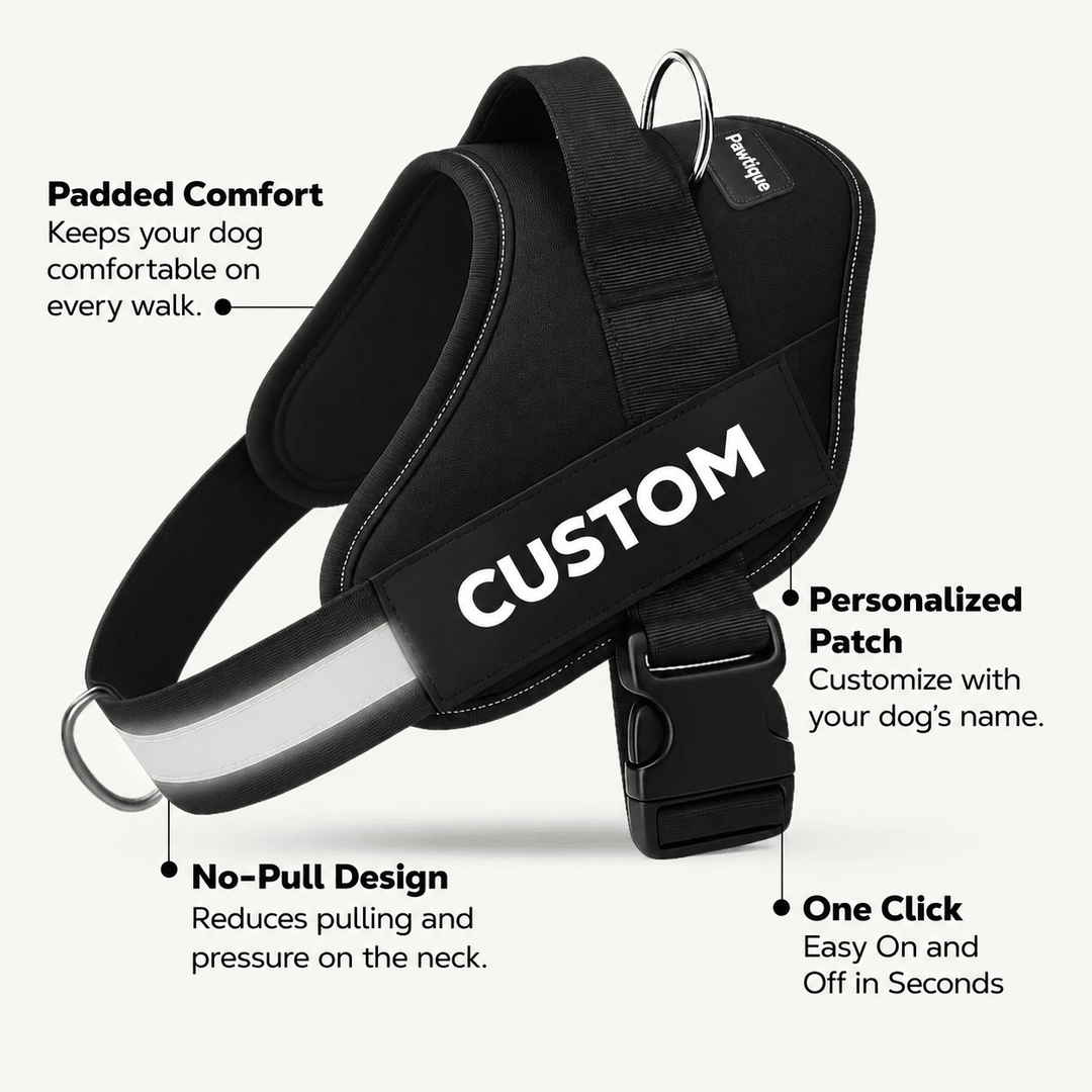 Pawtique NameTrail™ Personalized No-Pull Harness - Pawtique