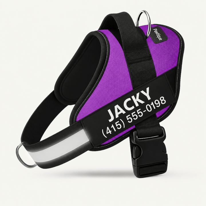 Pawtique NameTrail™ Personalized No-Pull Harness - Pawtique