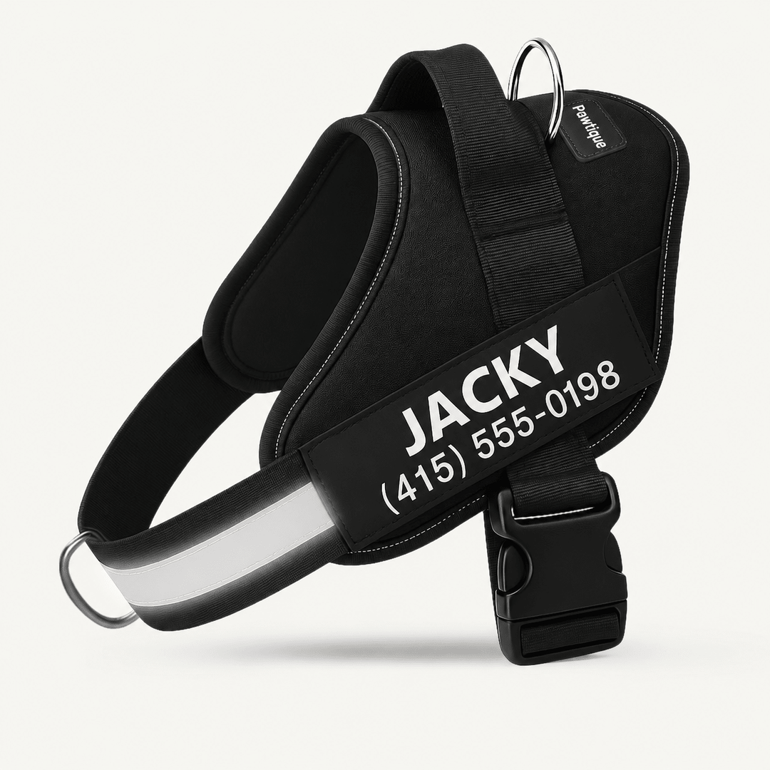 Pawtique NameTrail™ Personalized No-Pull Harness - Pawtique