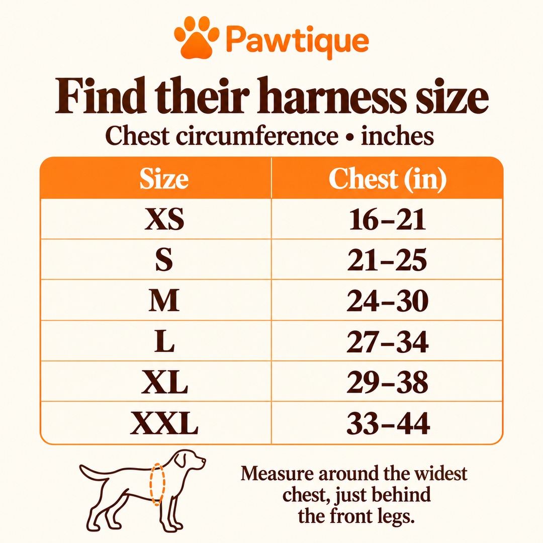 NameTrail XS to XXL chest circumference size chart in inches
