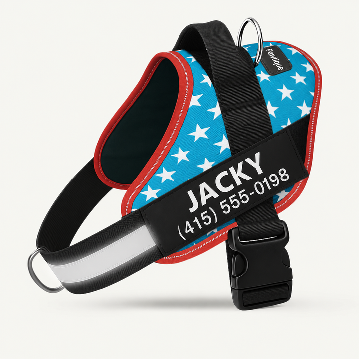 Pawtique NameTrail personalized no-pull harness in USA