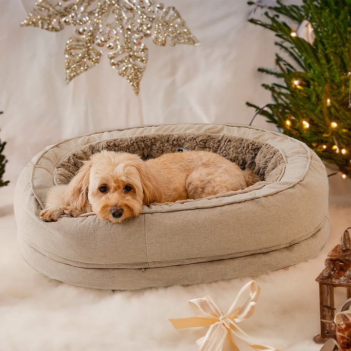 Pawtique NestTogether™ Oval Bolster Dog Bed Collection - Pawtique