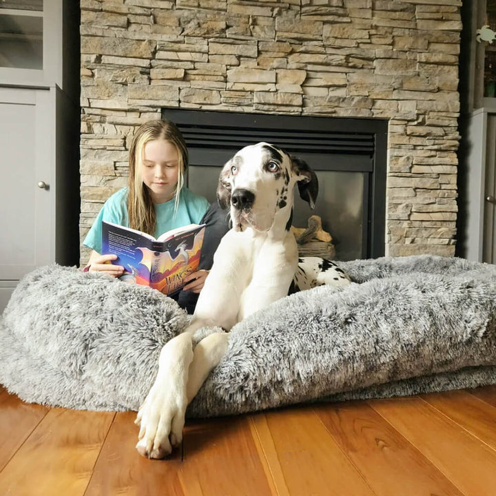 Pawtique NestTogether™ Oval Bolster Dog Bed Collection - Pawtique