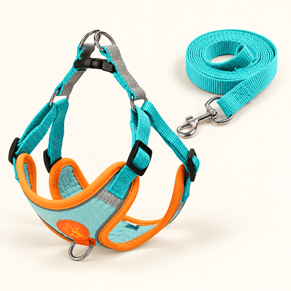 Pawtique NightGlide™ Reflective Soft-Mesh Dog Harness & Leash Set - Pawtique