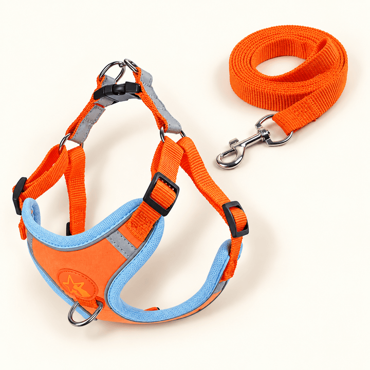 Pawtique NightGlide™ Reflective Soft-Mesh Dog Harness &amp; Leash Set - Pawtique
