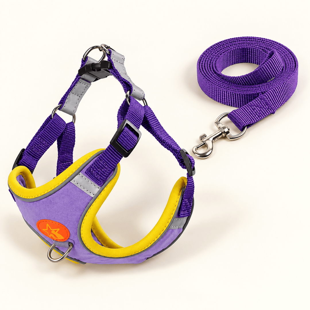 Pawtique NightGlide™ Reflective Soft-Mesh Dog Harness &amp; Leash Set - Pawtique