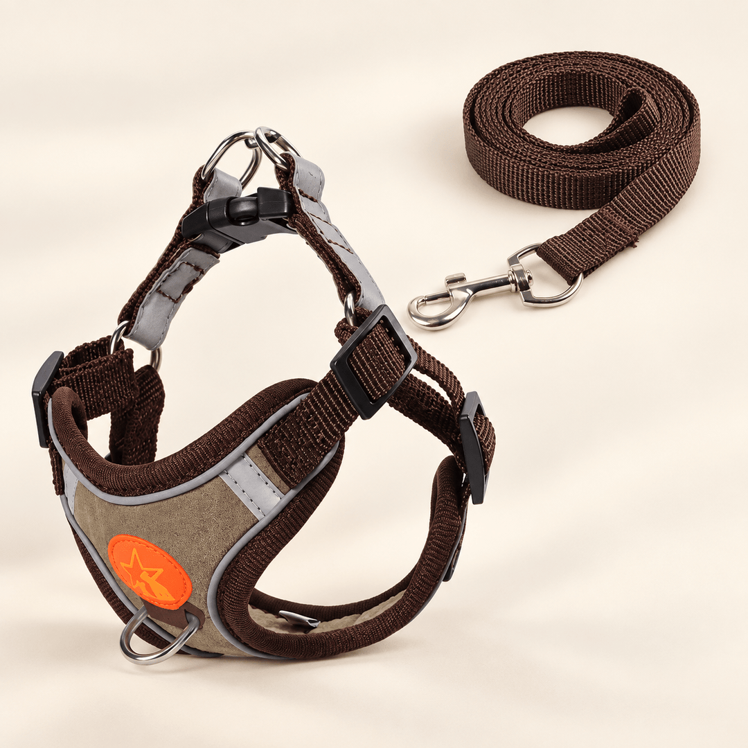 Pawtique NightGlide™ Reflective Soft-Mesh Dog Harness &amp; Leash Set - Pawtique