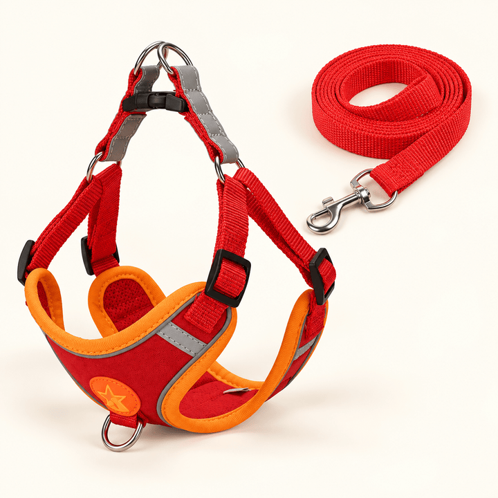 Pawtique NightGlide™ Reflective Soft-Mesh Dog Harness &amp; Leash Set - Pawtique