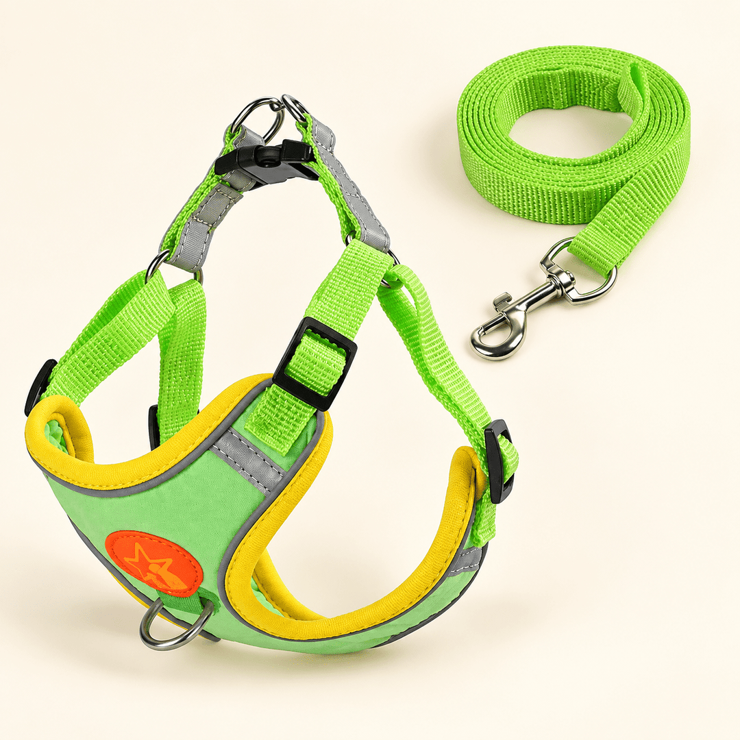 Pawtique NightGlide™ Reflective Soft-Mesh Dog Harness &amp; Leash Set - Pawtique
