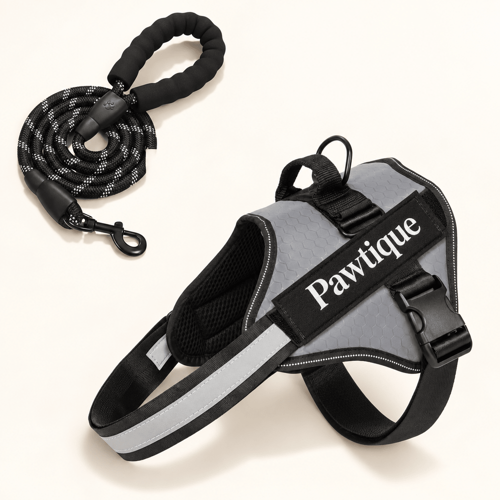 Pawtique NightStride™ Reflective Adjustable Dog Harness - Pawtique