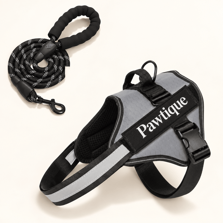 Pawtique NightStride™ Reflective Adjustable Dog Harness - Pawtique