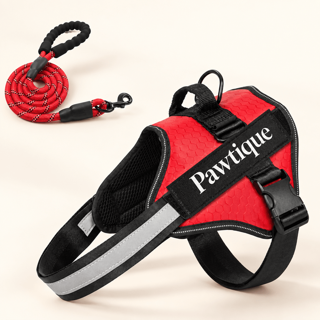 Pawtique NightStride™ Reflective Adjustable Dog Harness - Pawtique