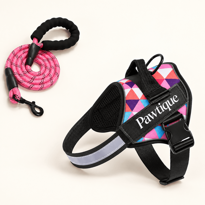 Pawtique NightStride™ Reflective Adjustable Dog Harness - Pawtique