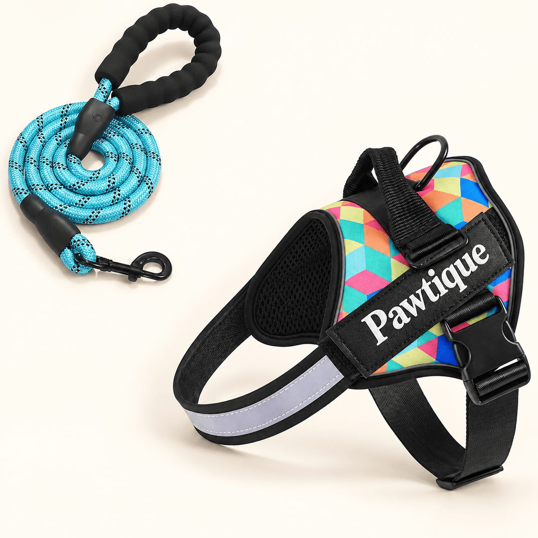 Pawtique NightStride™ Reflective Adjustable Dog Harness - Pawtique