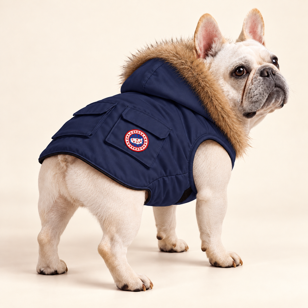 Pawtique NorthPuff parka in Midnight Navy — AI-styled dog-model view