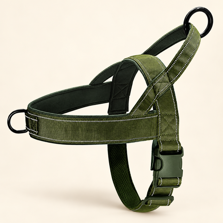 Pawtique Adjustable Nylon Chest Harness in Green with black connecting rings and buckle