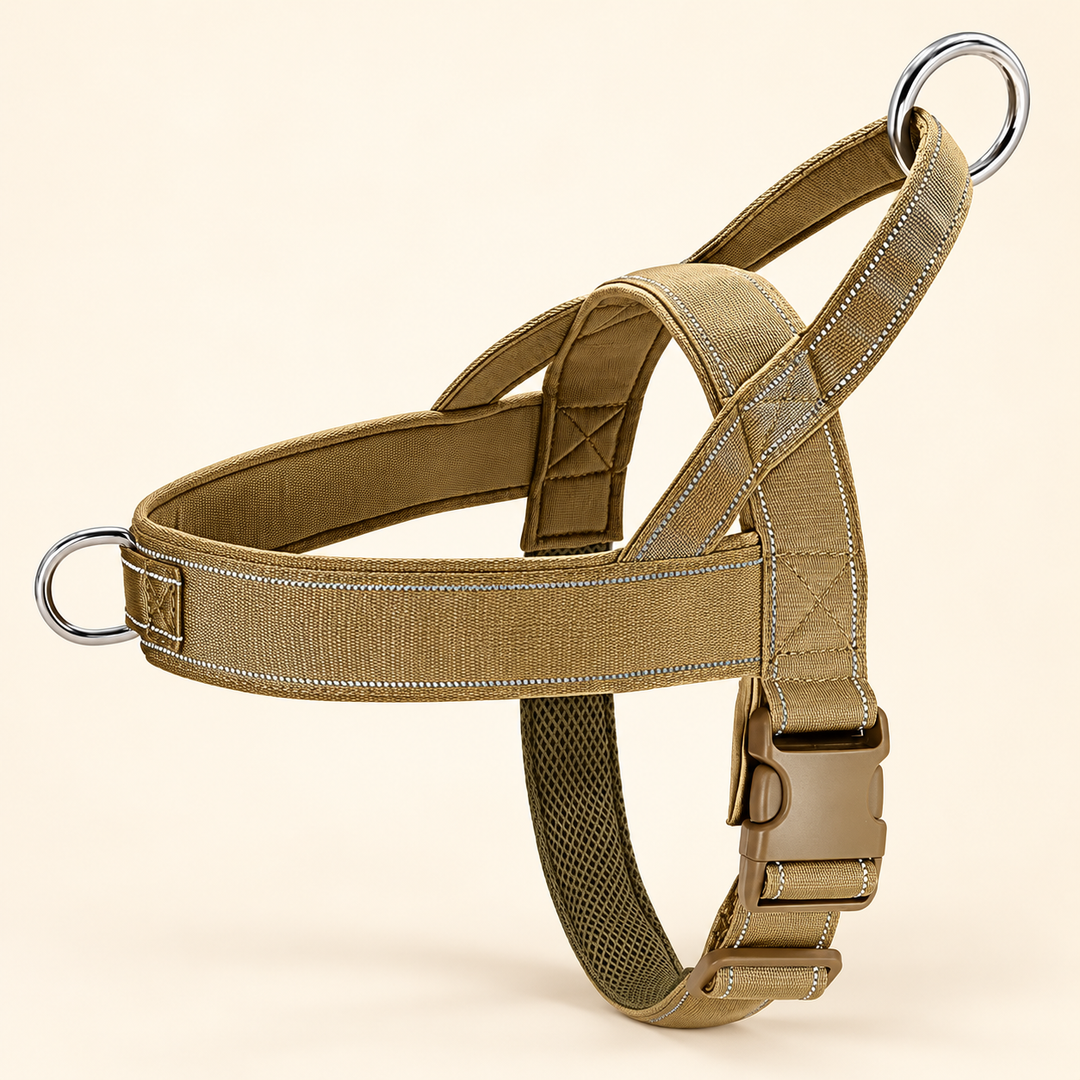 Pawtique Adjustable Nylon Chest Harness in Khaki with silver connecting rings and tan buckle