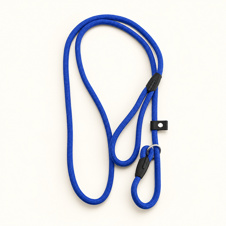 Blue nylon slip lead with rope loop handle, silver-coloured ring and black sliding stop on cream