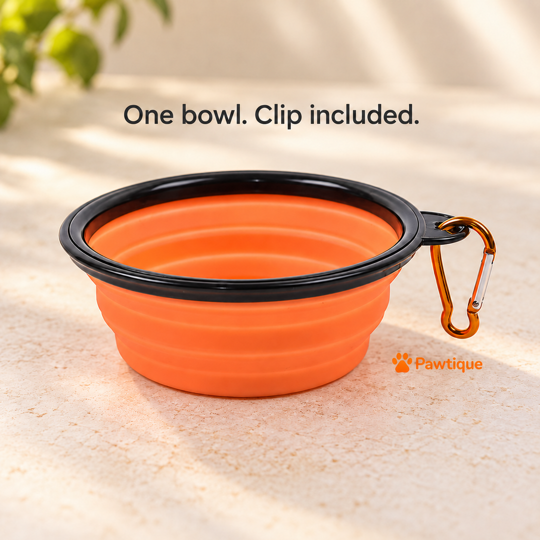 One orange travel bowl with its included clip attached