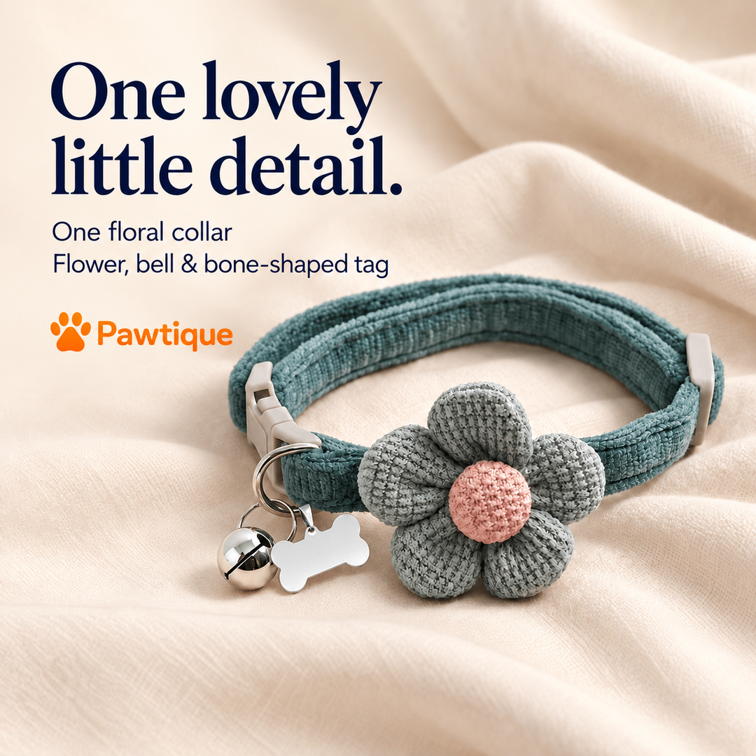 One PetalCharm collar with attached flower, bell and bone-shaped tag.