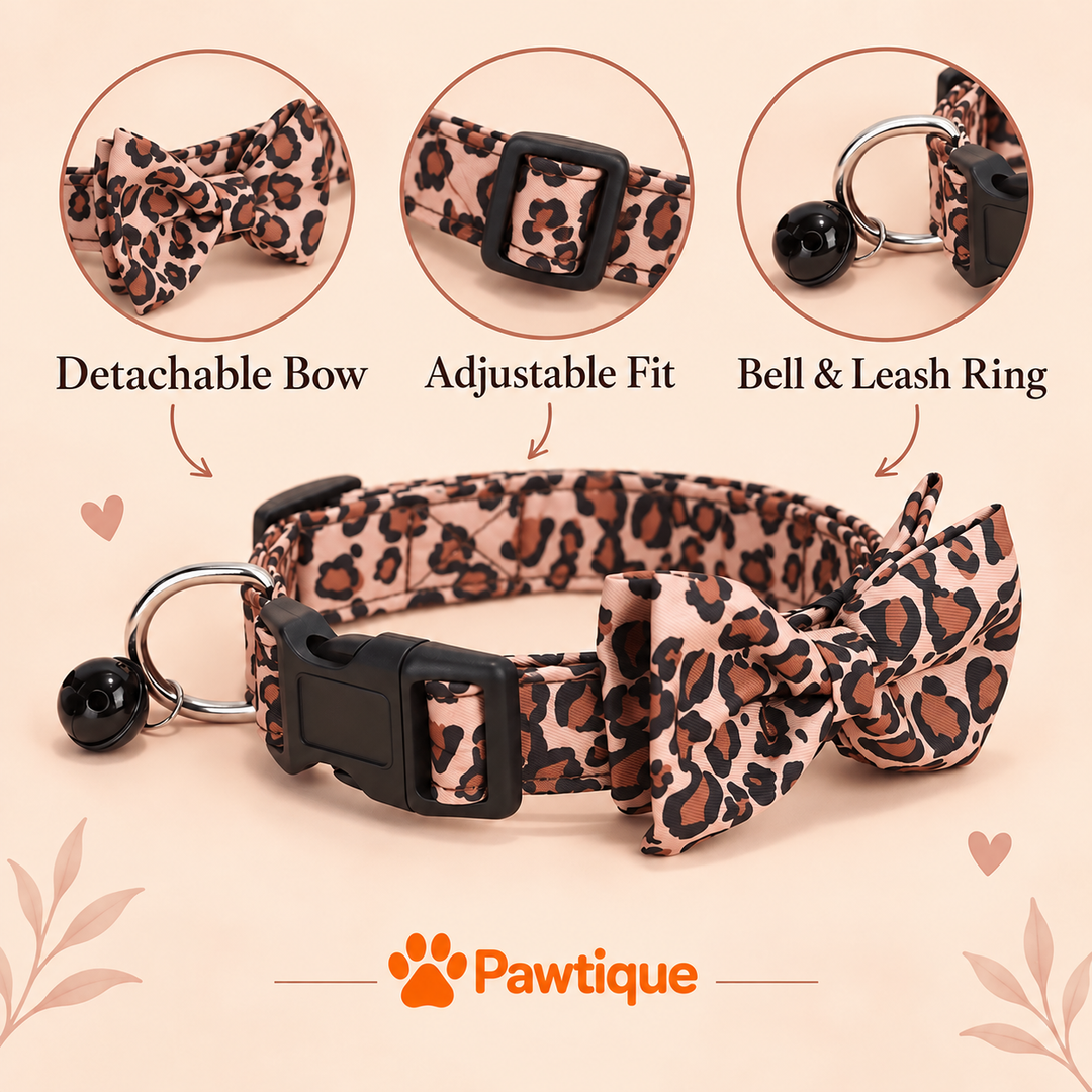 Pawtique WildCharm™ Leopard Bow Pet Collar - Pawtique