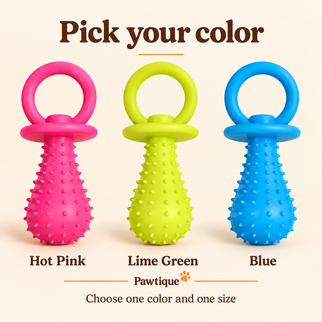 PaciPlay TPR pacifier dog toy options: Pink, Lime Green and Blue. Choose one color and one size.