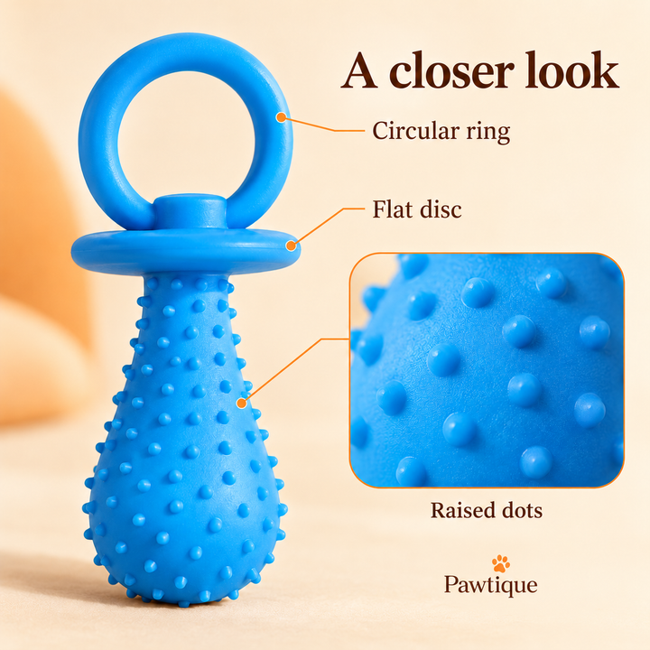 PaciPlay TPR dog toy detail showing its circular ring, flat disc and raised dots.